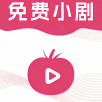 晚秋影院去广告纯净版
